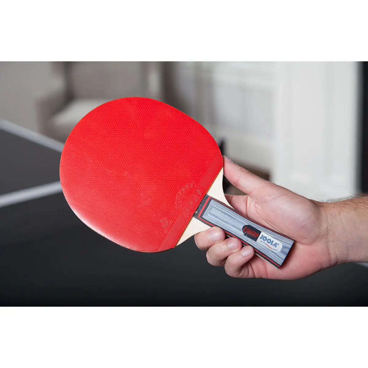 Joola Champ Table Tennis Racquet-The Racquet Shop-Shop Online in UAE, Saudi Arabia, Kuwait, Oman, Bahrain and Qatar